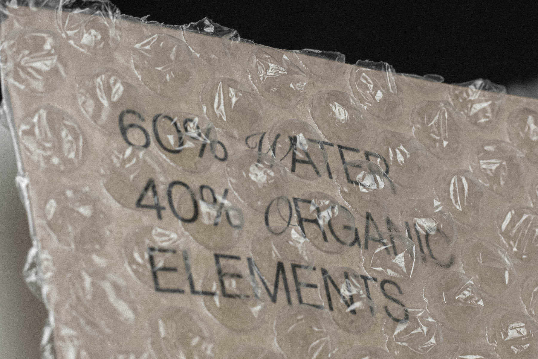 manifesto fotografia 3